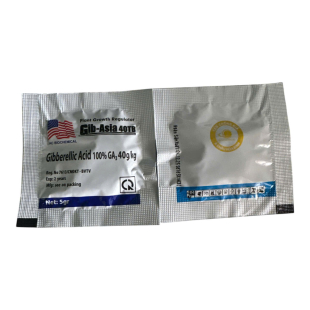 (PB) GABA VIÊN SỦI GIB-ASIA 40TB GÓI 5G