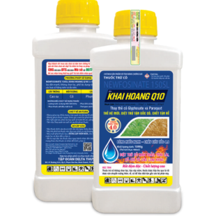 (CỎ) KHAI HOANG Q10 CHAI 900ML (THÙNG 25 CHAI)